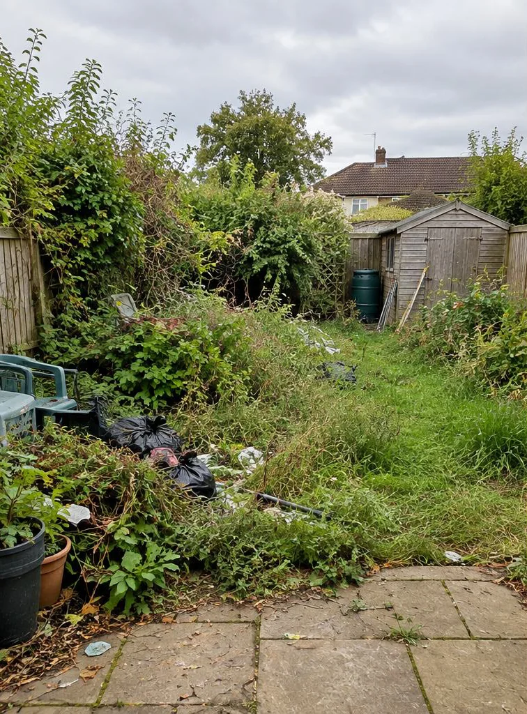 Garden Clearance, before